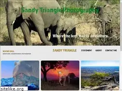 Sites similar to sandytriangle.com