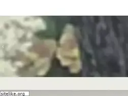 Sites similar to saneicraft.com