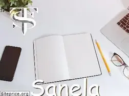 Sites similar to sanela.org