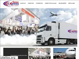 Sites similar to sanexcargo.com