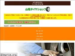Sites similar to sanin-tire.com