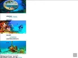 Sites similar to sanjuandiver.com