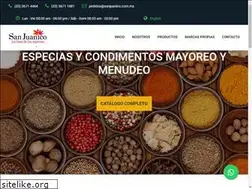 Sites similar to sanjuanico.com.mx