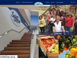 Sites similar to sanlucar-group.com