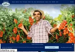 Sites similar to sanlucar.com
