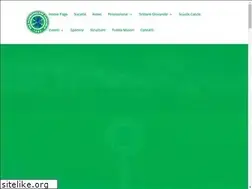 Sites similar to sanmichelese.it