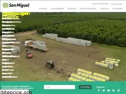 Sites similar to sanmiguelglobal.com