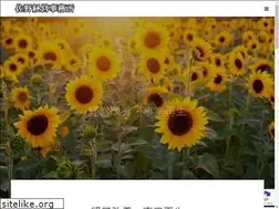 Sites similar to sano1.com