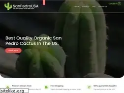 Sites similar to sanpedrousa.net