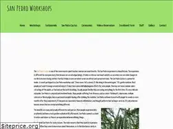 Sites similar to sanpedroworkshops.com