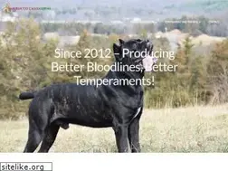 Sites similar to sanroccocanecorso.com