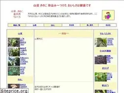 Sites similar to sansaikinoko.com