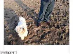 Sites similar to santacruzdui.com