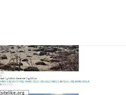 Sites similar to santacruzevents.com