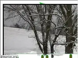 Sites similar to santadeliverstrees.com