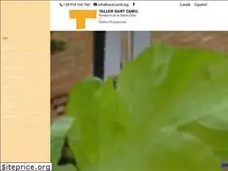 Sites similar to santcamil.org