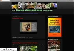 Sites similar to saphotographs.blogspot.com