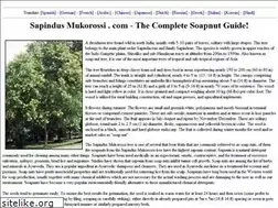 Sites similar to sapindusmukorossi.com