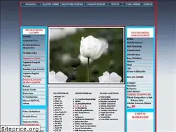 Sites similar to sapinuva.info