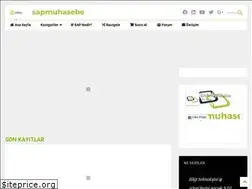Sites similar to sapmuhasebe.com