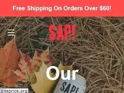 Sites similar to sapvt.com