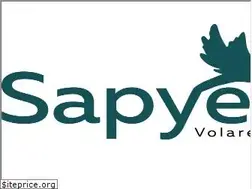 Sites similar to sapyent.com