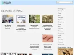 Sites similar to sar-gallery.ru