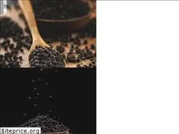 Sites similar to saramadcompany.co