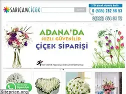 Sites similar to saricamcicek.com