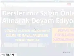 Sites similar to sariyeramerikankultur.com