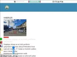 Sites similar to sariz.bel.tr