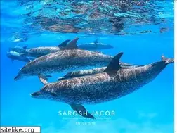 Sites similar to saroshjacob.com