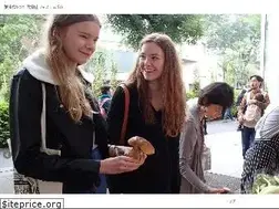 Sites similar to sarugakumatsuri.com