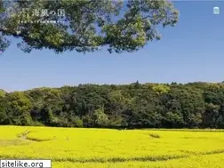 Sites similar to sasebo99.com
