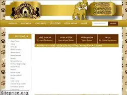 Sites similar to satilikkopekilani.com