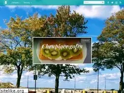Sites similar to satinn.pl