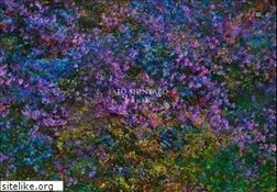 Sites similar to sato-shintaro.com