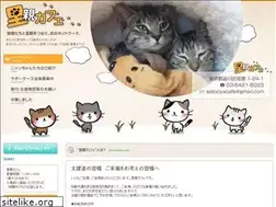 Sites similar to satooya-cafe.org