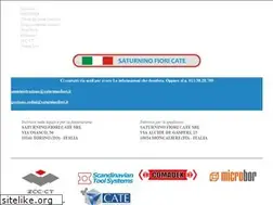 Sites similar to saturninofiori.it