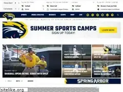 Sites similar to saucougars.com