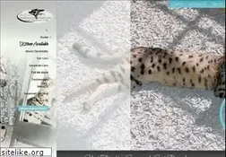 Sites similar to savannahcatbreed.com