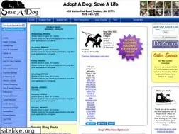 Sites similar to saveadog.org