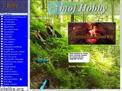 Sites similar to savel-hobi.net