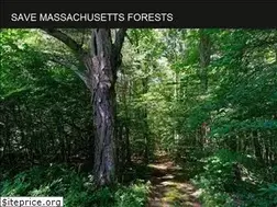 Sites similar to savemassforests.com