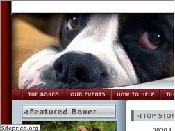 Sites similar to savetheboxers.com