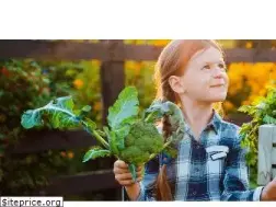 Sites similar to saveursetsavoirs.fr