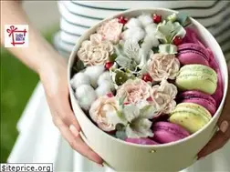 Sites similar to sawaboutik.com