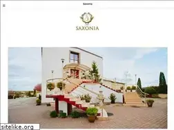 Sites similar to saxonia.pl