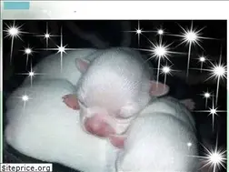 Sites similar to saychisbreeders.com