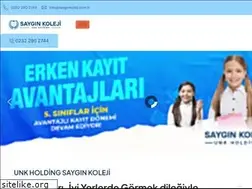 Sites similar to sayginkoleji.com.tr
